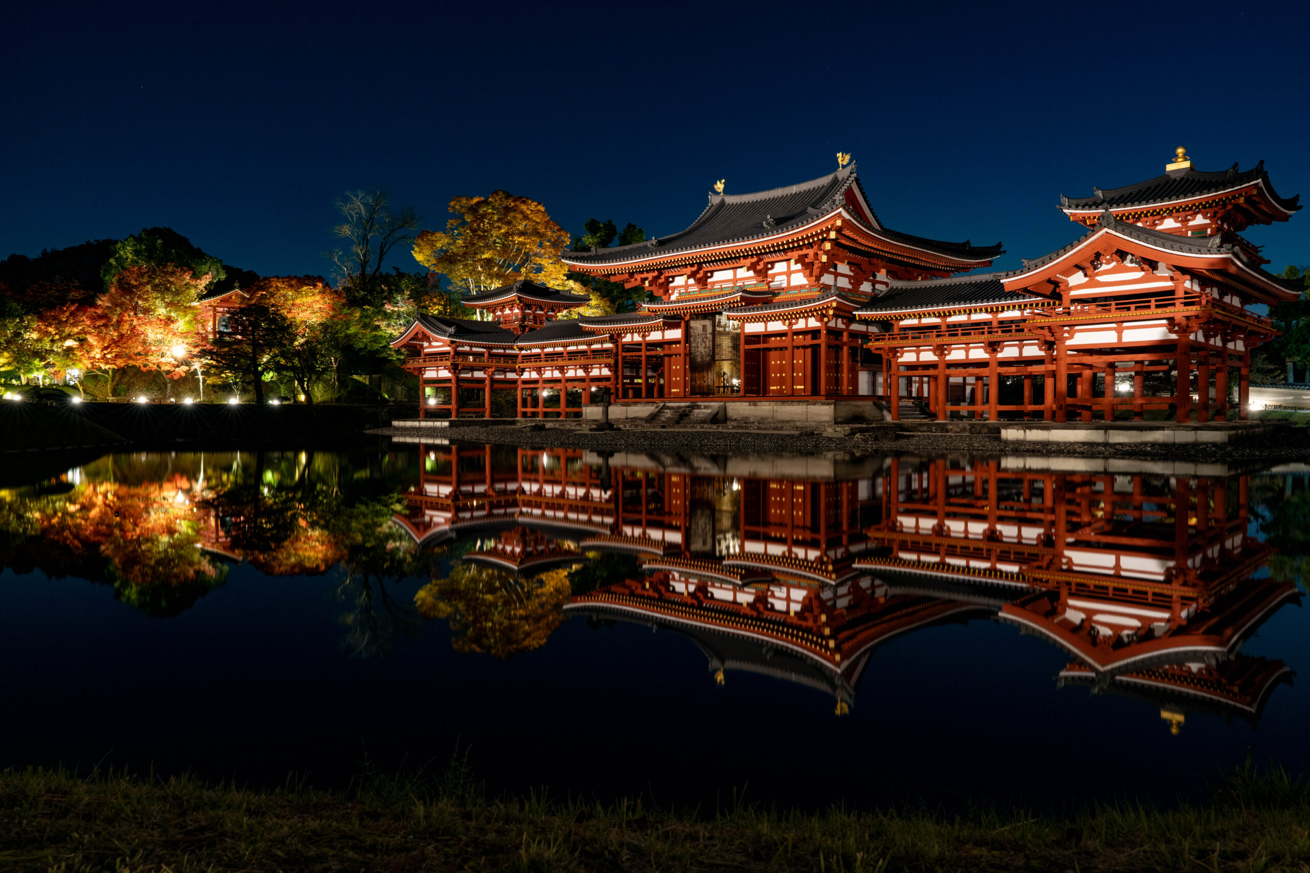 平等院　ライトアップ２０２５年の画像１