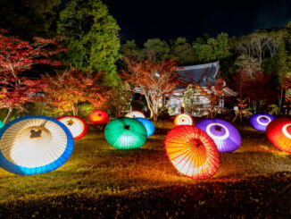 「大御堂観音寺ライトアップ 2025」の画像