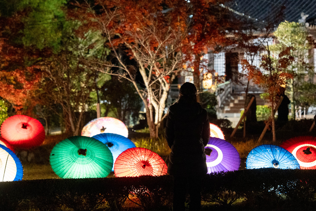 「大御堂観音寺ライトアップ 2025」和傘の画像
