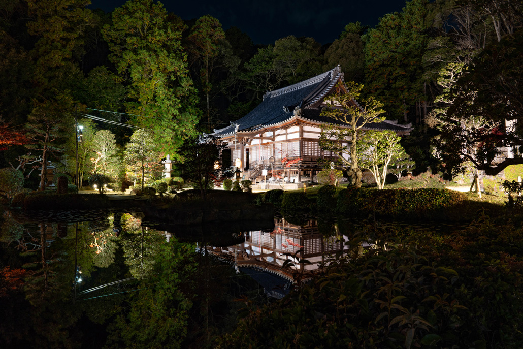 「大御堂観音寺ライトアップ 2025」水鏡の画像