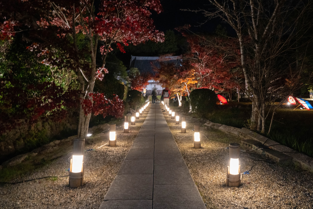 「大御堂観音寺ライトアップ 2025」本堂の画像