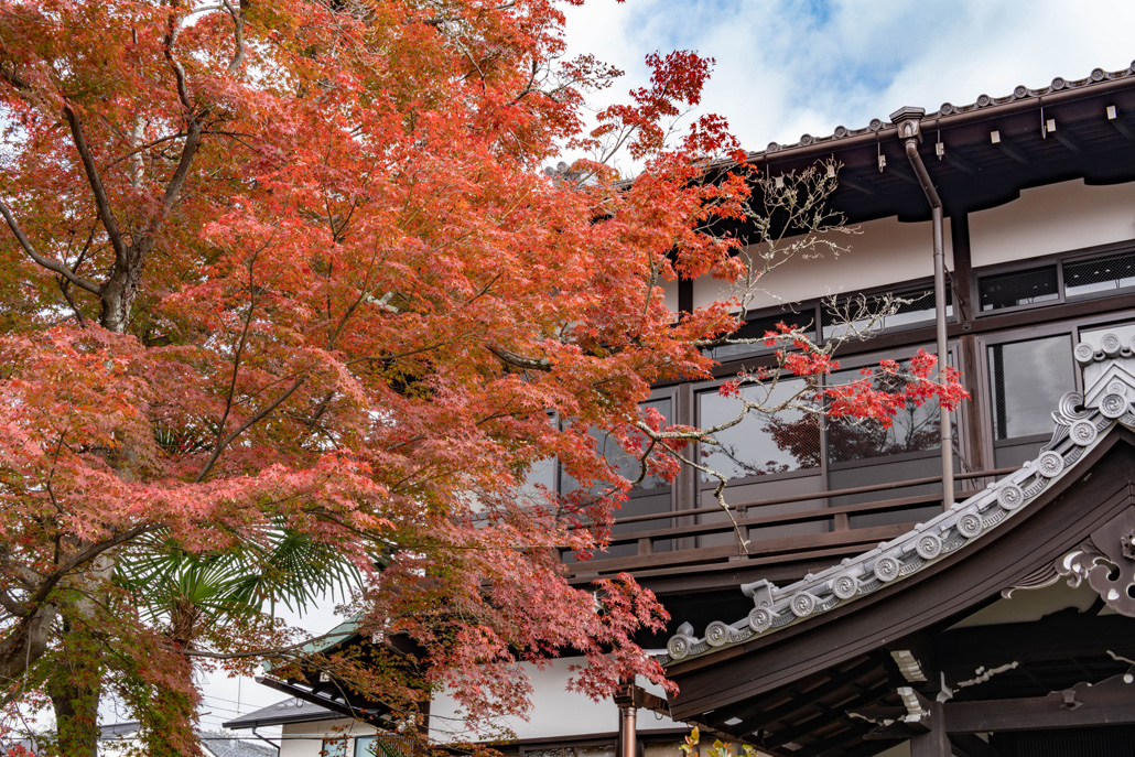 朝霧通りの京都府茶業会館の画像