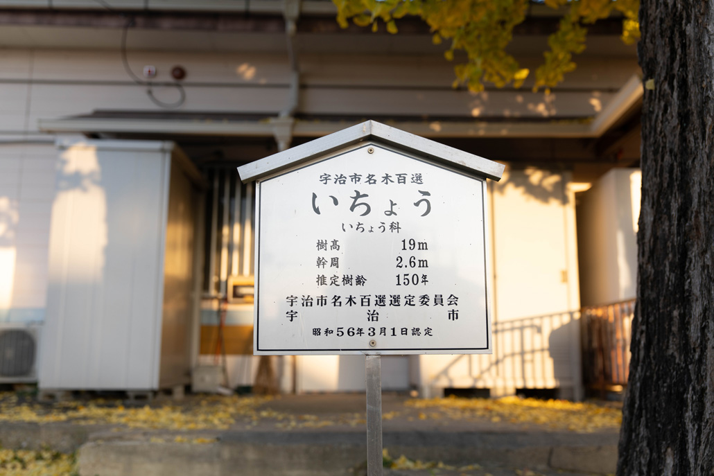 ２０２５年１１月３０日　新田駅前のいちょうの木の看板画像