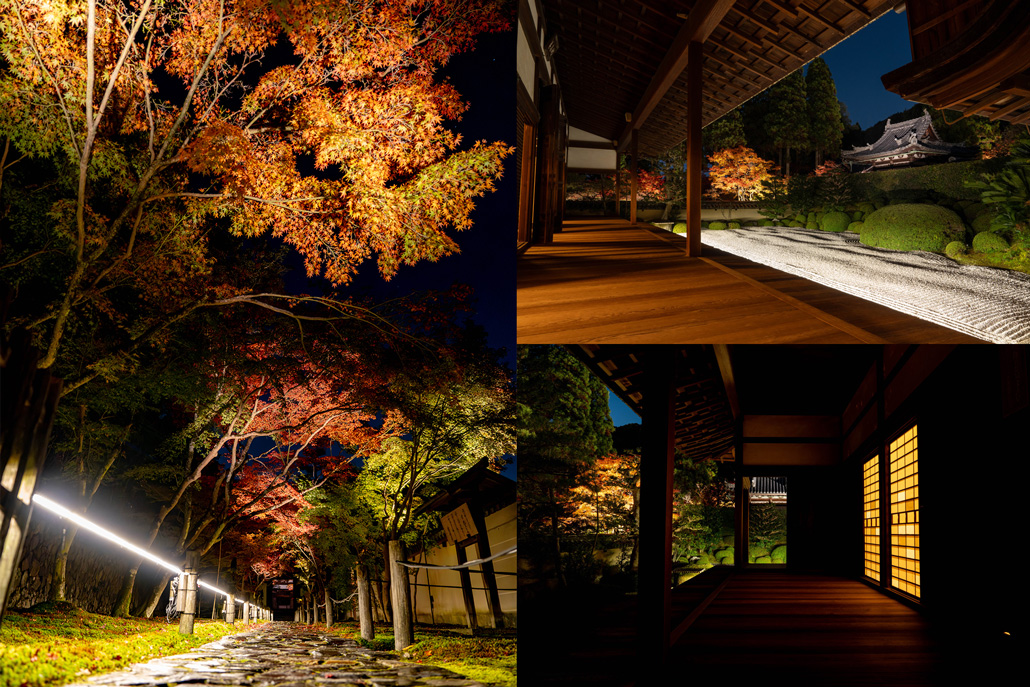 「一休寺紅葉ライトアップ 2025」の画像