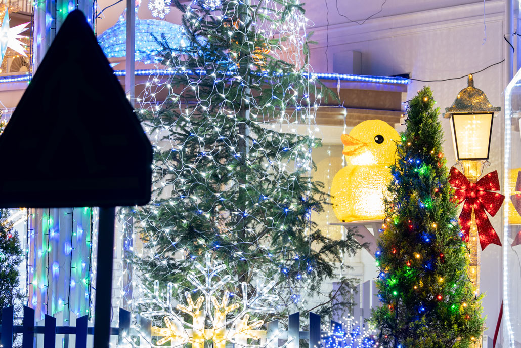 ２０２５年の折居台のイエナリエのアヒルさんの画像