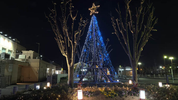 寺田駅周辺のイルミネーション（ツリー）の画像