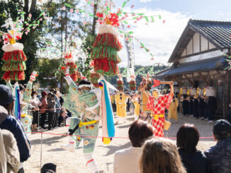 京都府指定無形民俗文化財「田山花踊り」の画像６