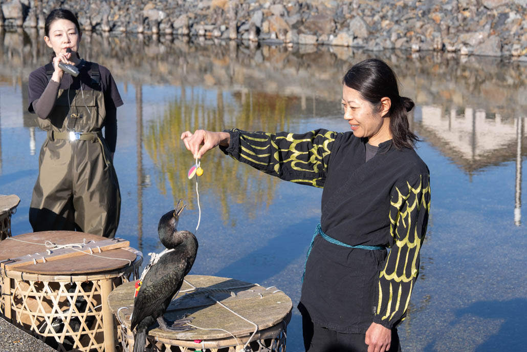 放ち鵜飼の公開トレーニングでの、鵜と鵜匠さんの画像２