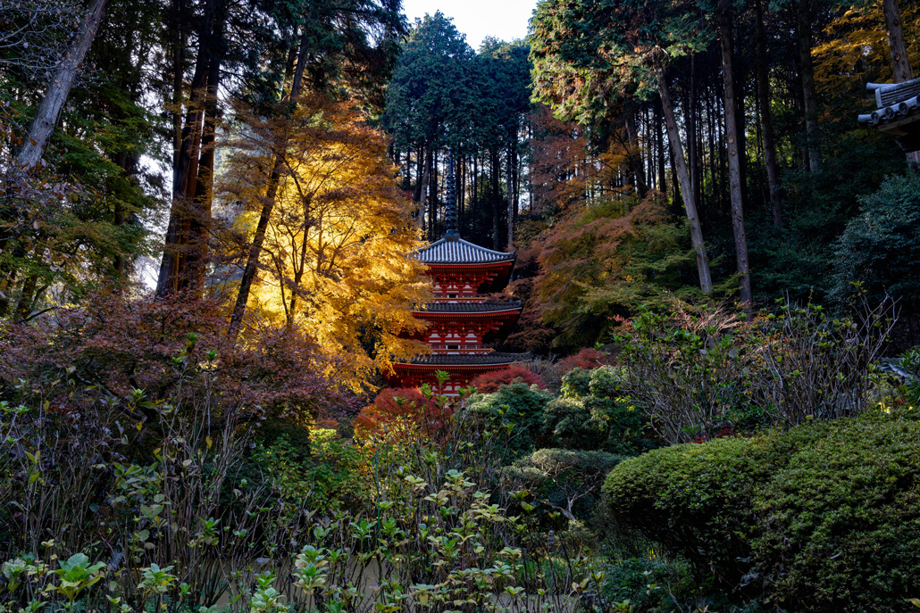 岩船寺の黄葉と三重塔の共演の画像