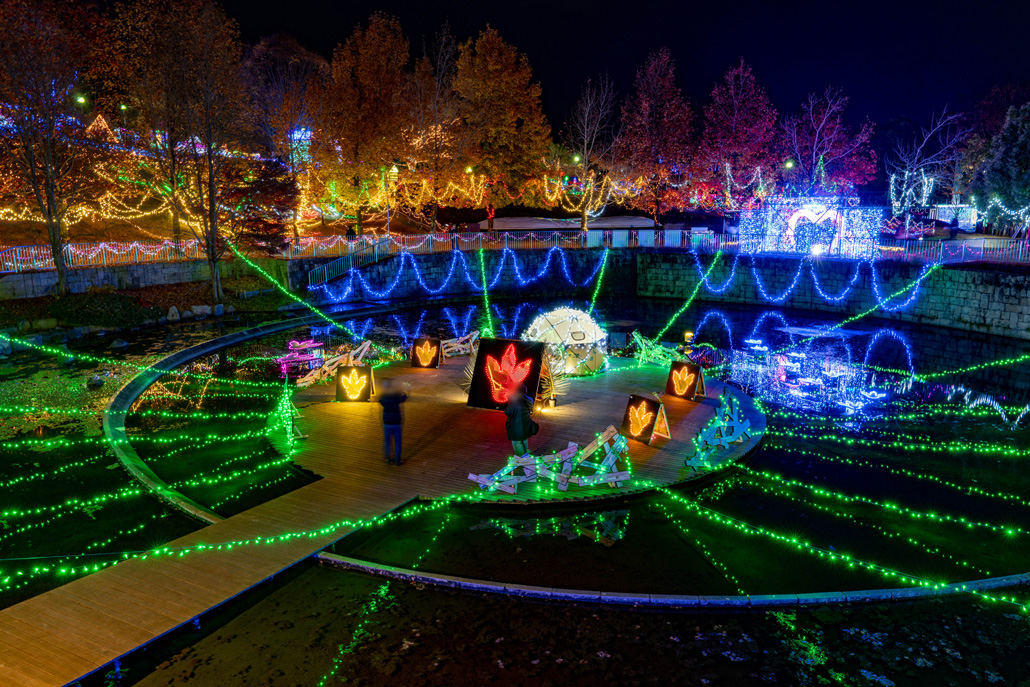 「光のページェント TWINKLE JOYO 2025」池の画像