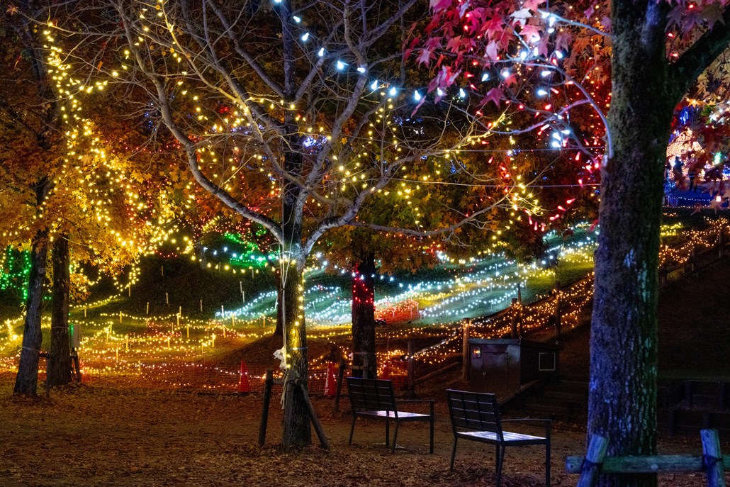 「光のページェント TWINKLE JOYO 2025」のイルミネーションの画像