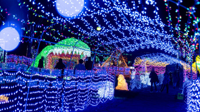 「光のページェント TWINKLE JOYO 2025」の恐竜＆トンネルの画像