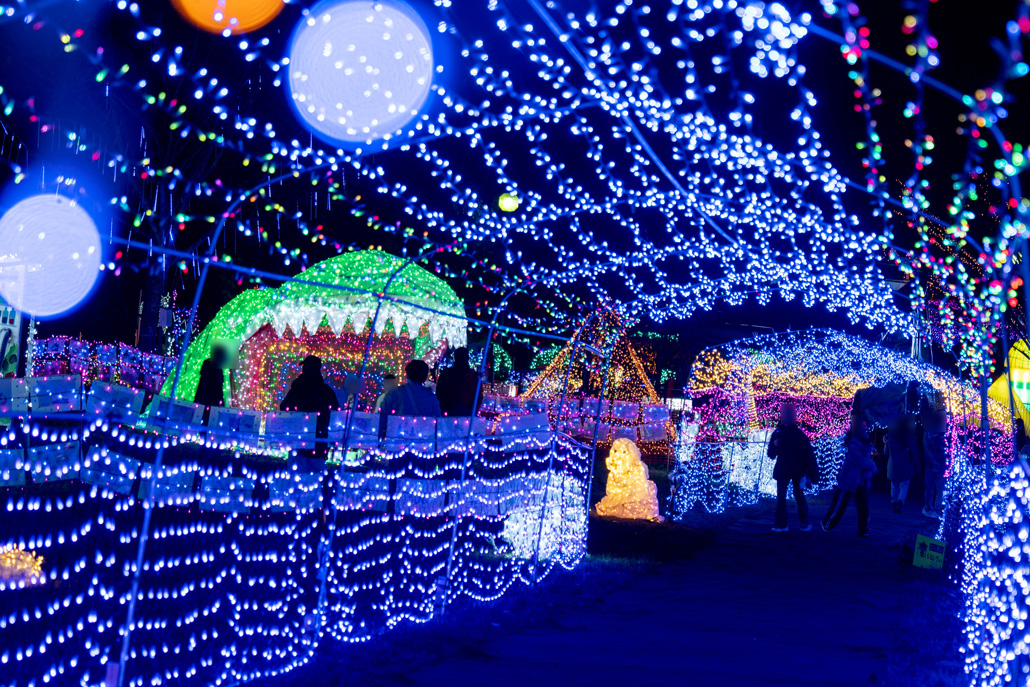 「光のページェント TWINKLE JOYO 2025」の恐竜＆トンネルの画像