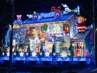 ２０２５年の折居台のイエナリエの画像