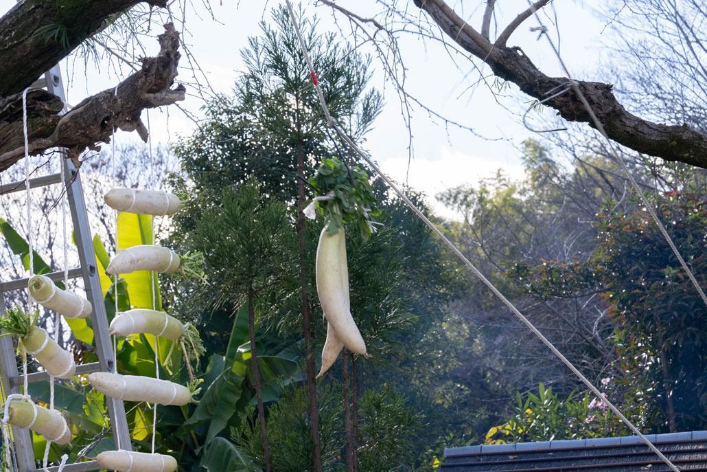 大根ツリーに大根が干されている画像