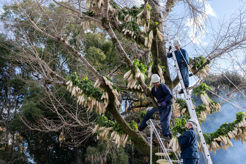 大根ツリーの協同作業の画像