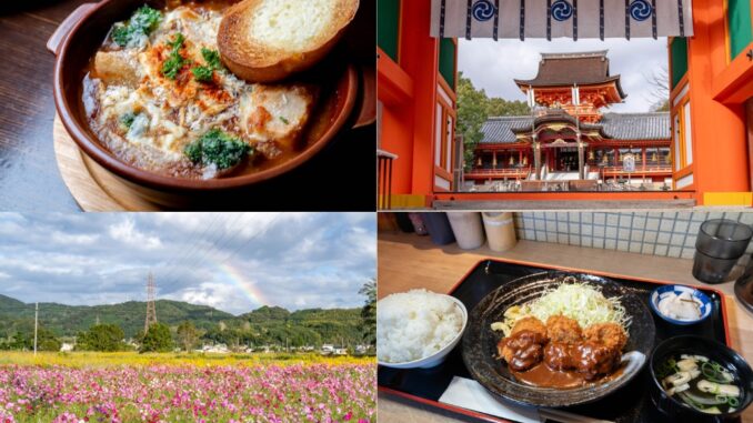 週刊ALCO　令和7年12月27日号の画像