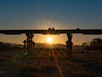 流れ橋　２０２６年初日の出の画像４