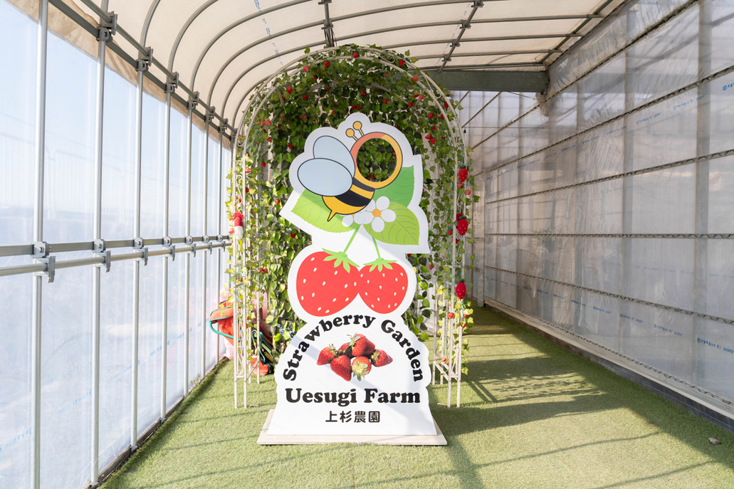 「いちご狩り農園 上杉農園」　パネル画像