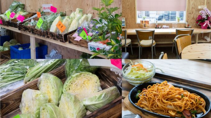 野菜販売・食事処「いこい処 かよちゃん」の画像