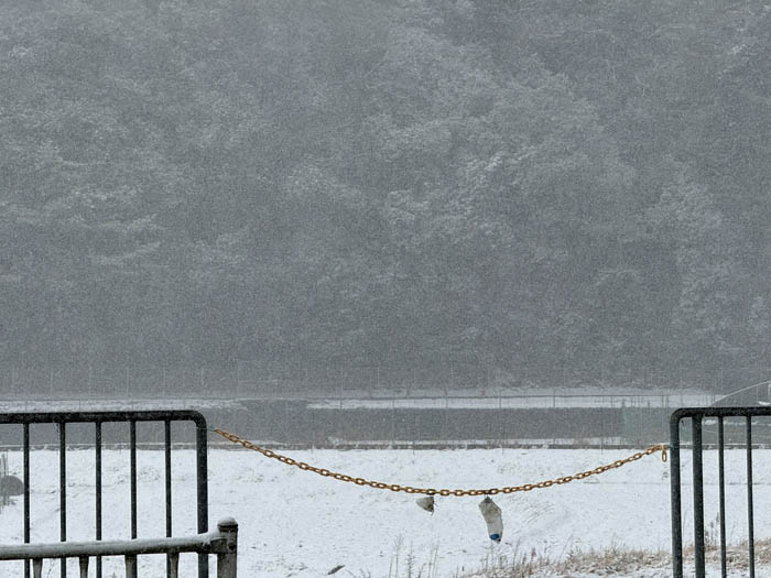 宇治田原の雪景色の画像