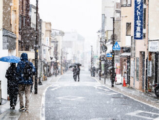 ２月８日に雪が降った宇治の画像