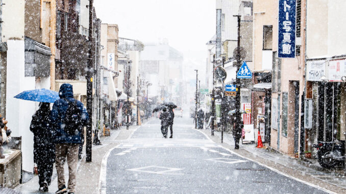 ２月８日に雪が降った宇治の画像
