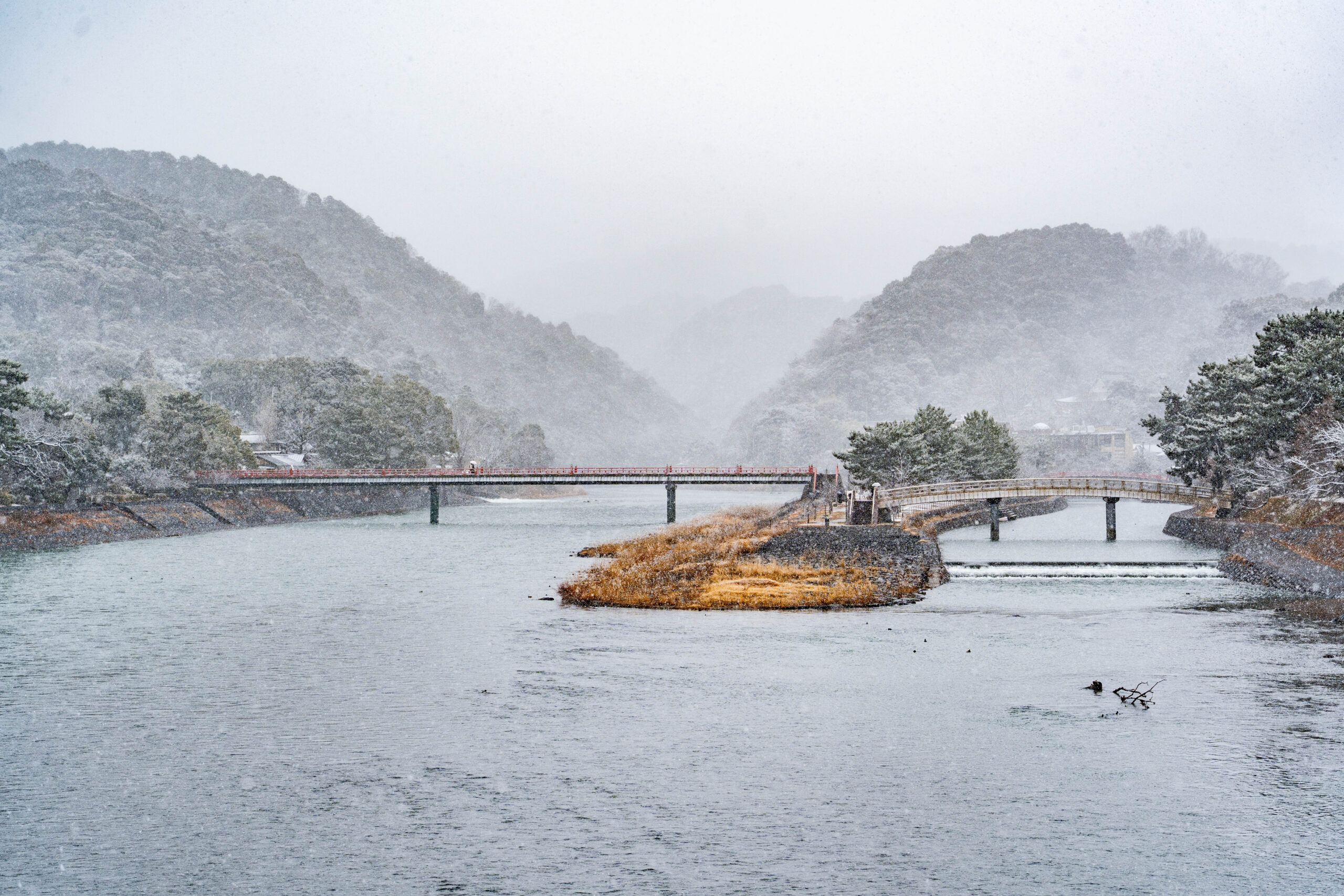 ２月８日の宇治川の画像