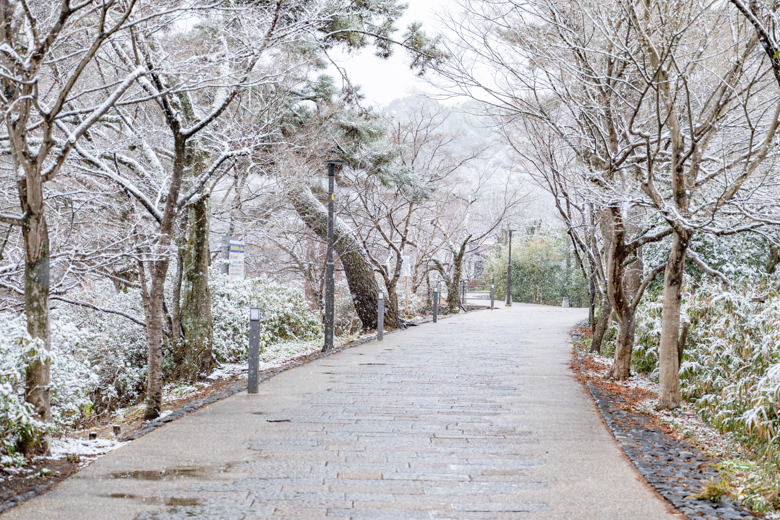 ２月８日の平等院の近くの画像