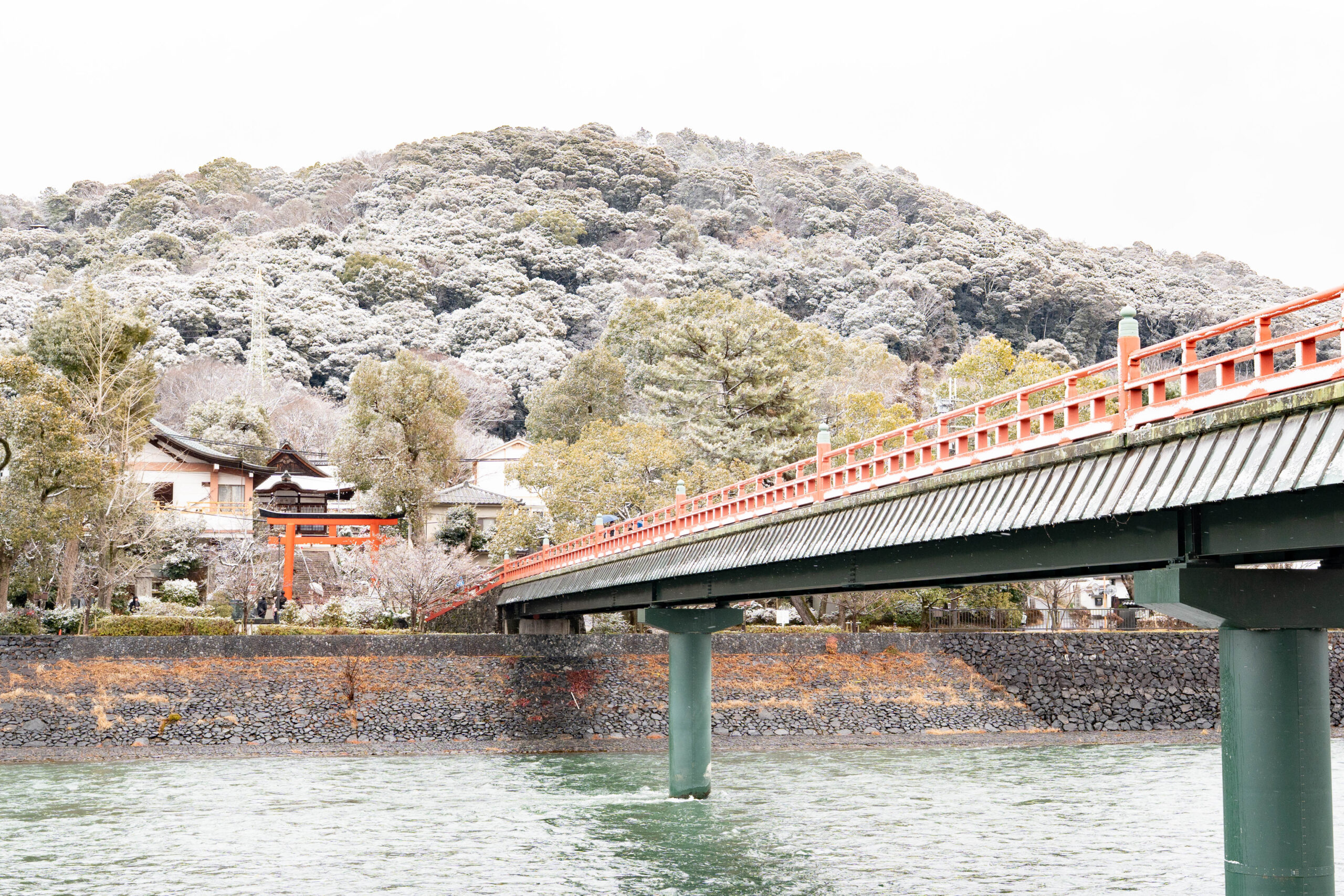 ２月８日の朝霧橋の画像