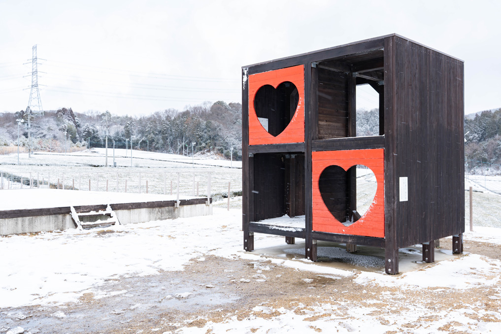 ２月８日のハートキューブなどの画像