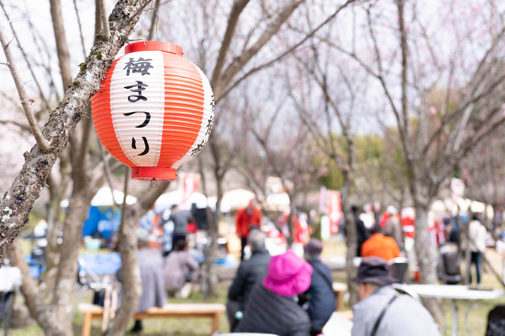 ふれあい広場の画像１