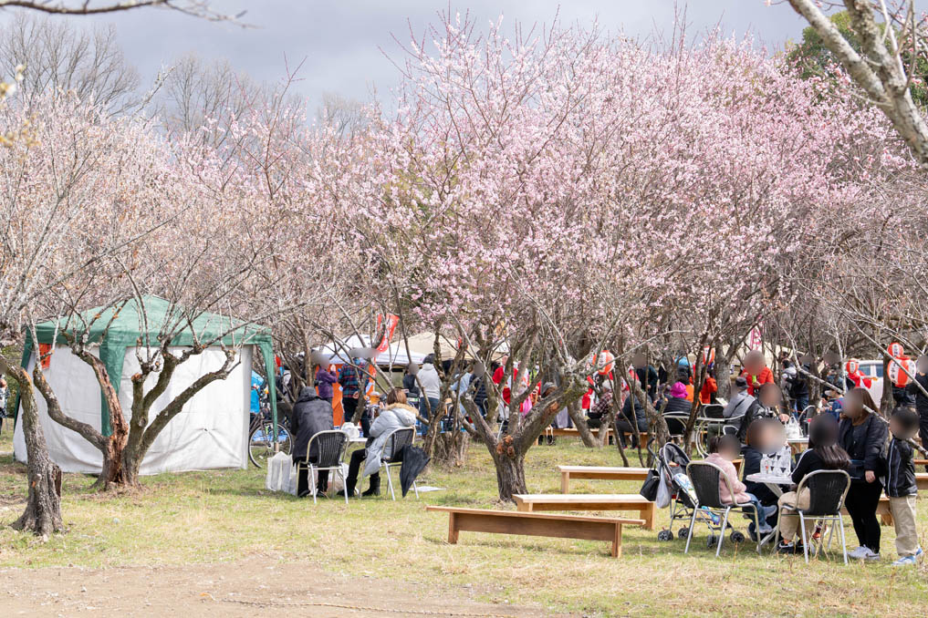 ふれあい広場の画像