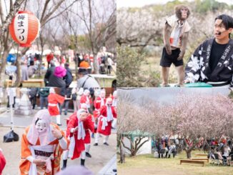 城陽青谷梅まつりの画像