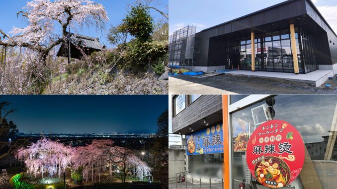 週刊ALCO　令和8年3月28日号の画像