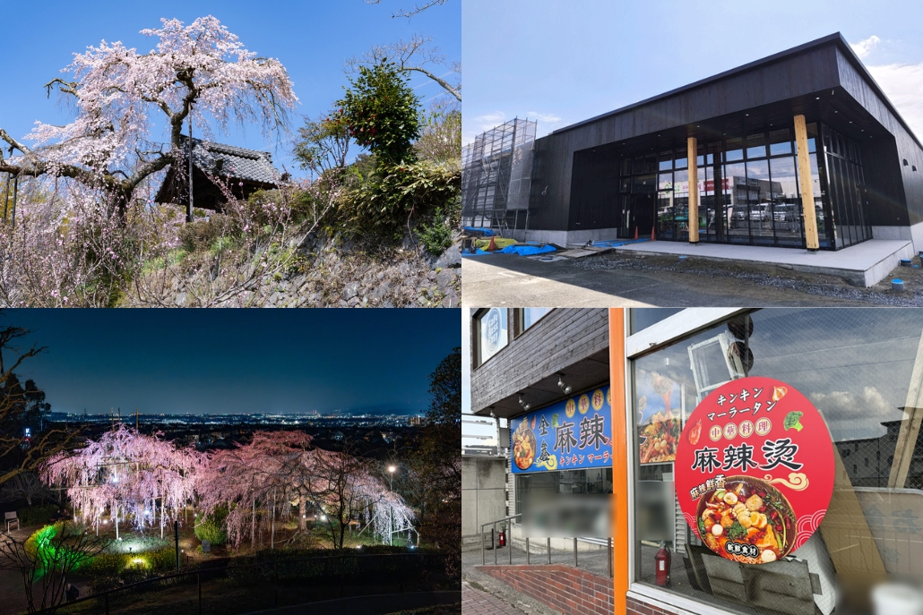 週刊ALCO 令和8年3月28日号の画像