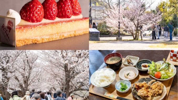 週刊ALCO　令和8年3月21日号の画像