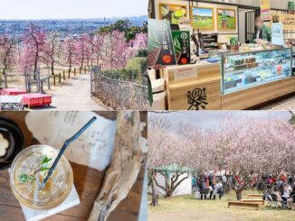 週刊ALCO　令和8年3月7日号の画像