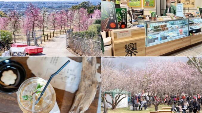 週刊ALCO　令和8年3月7日号の画像