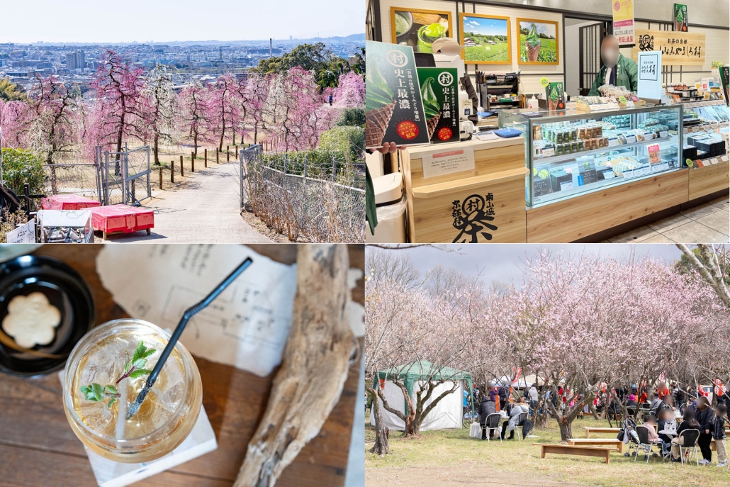 週刊ALCO　令和8年3月7日号の画像