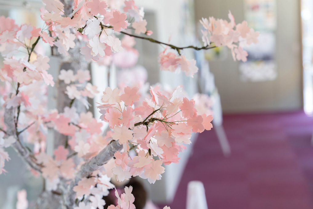 図書館のさくら画像