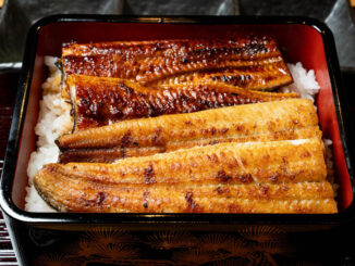 「うなぎ乃助 伏見桃山店」