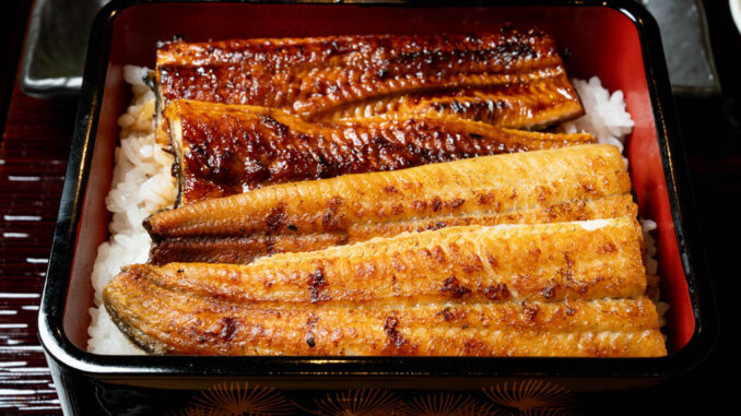 「うなぎ乃助 伏見桃山店」