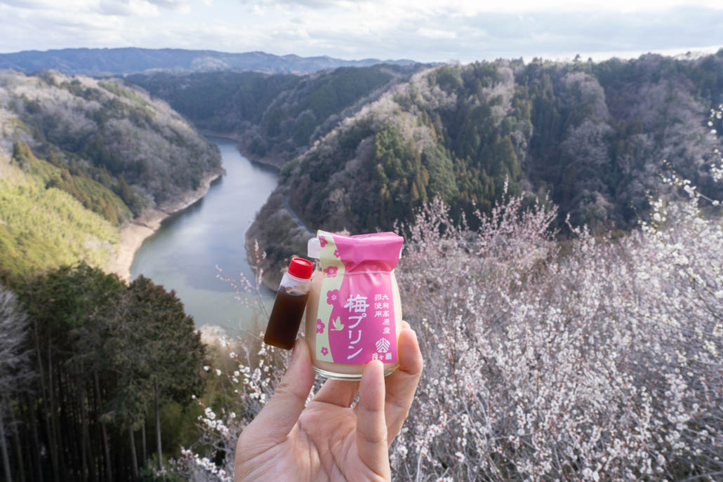 月ヶ瀬梅林の画像２