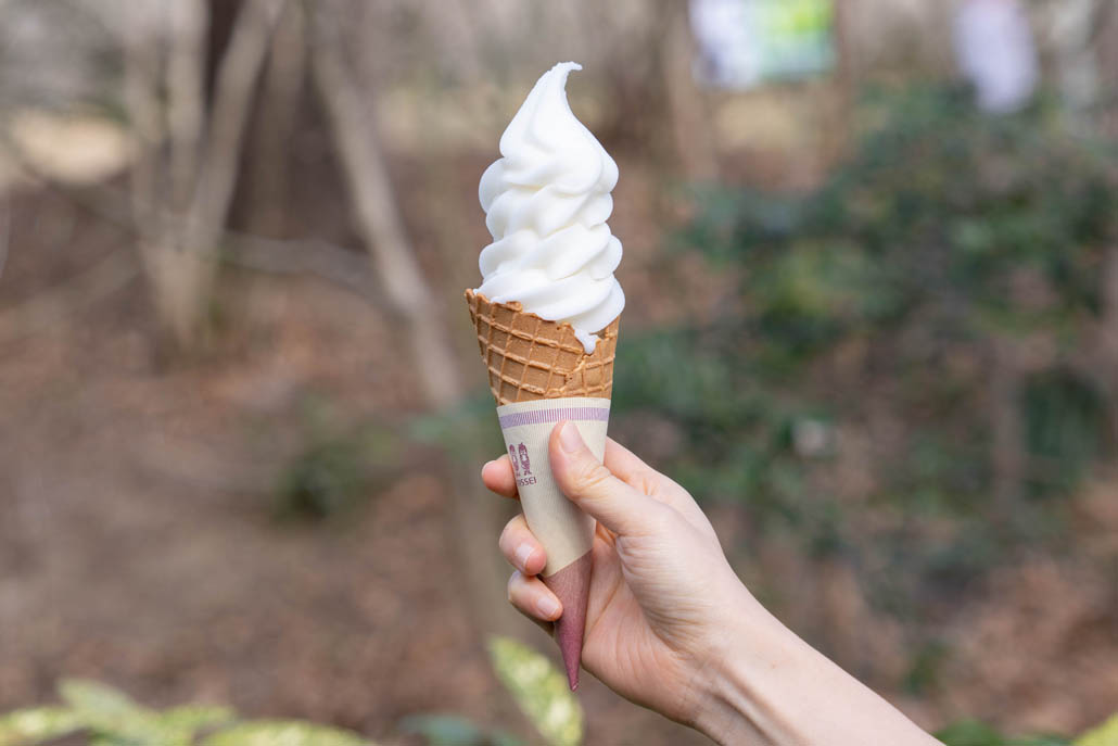 「寿長生の郷」　城州白祖ソフトの画像