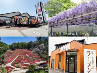 週刊ALCO　令和8年4月18日号の画像