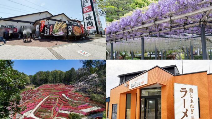 週刊ALCO　令和8年4月18日号の画像