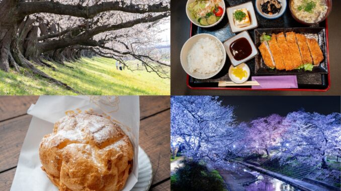 週刊ALCO　令和8年4月4日の画像