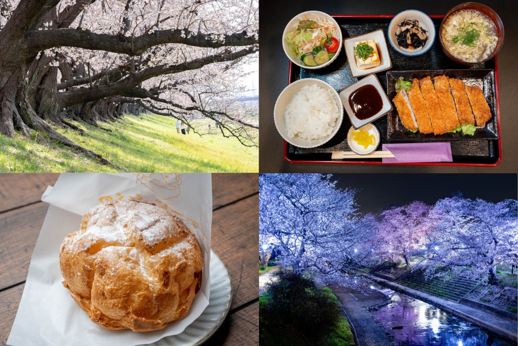 週刊ALCO 令和8年4月4日の画像