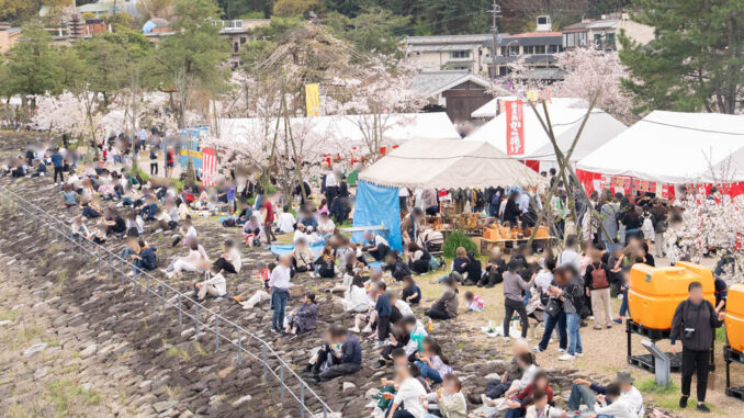 「第５０回 宇治川さくらまつり」の画像１